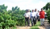 Đoàn cán bộ cấp cao tỉnh Sa La Van (Lào) thăm huyện Đăk Hà